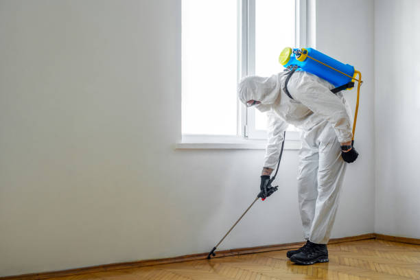 Best Termite Control Services  in Butler Beach, FL